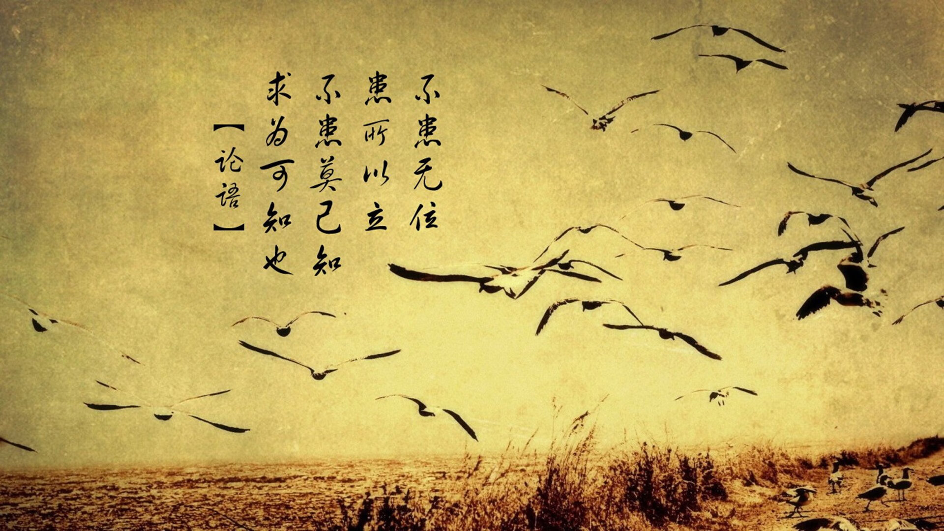 破次元篮球决战，长三角大雪崩碰撞密尔沃基狂想曲