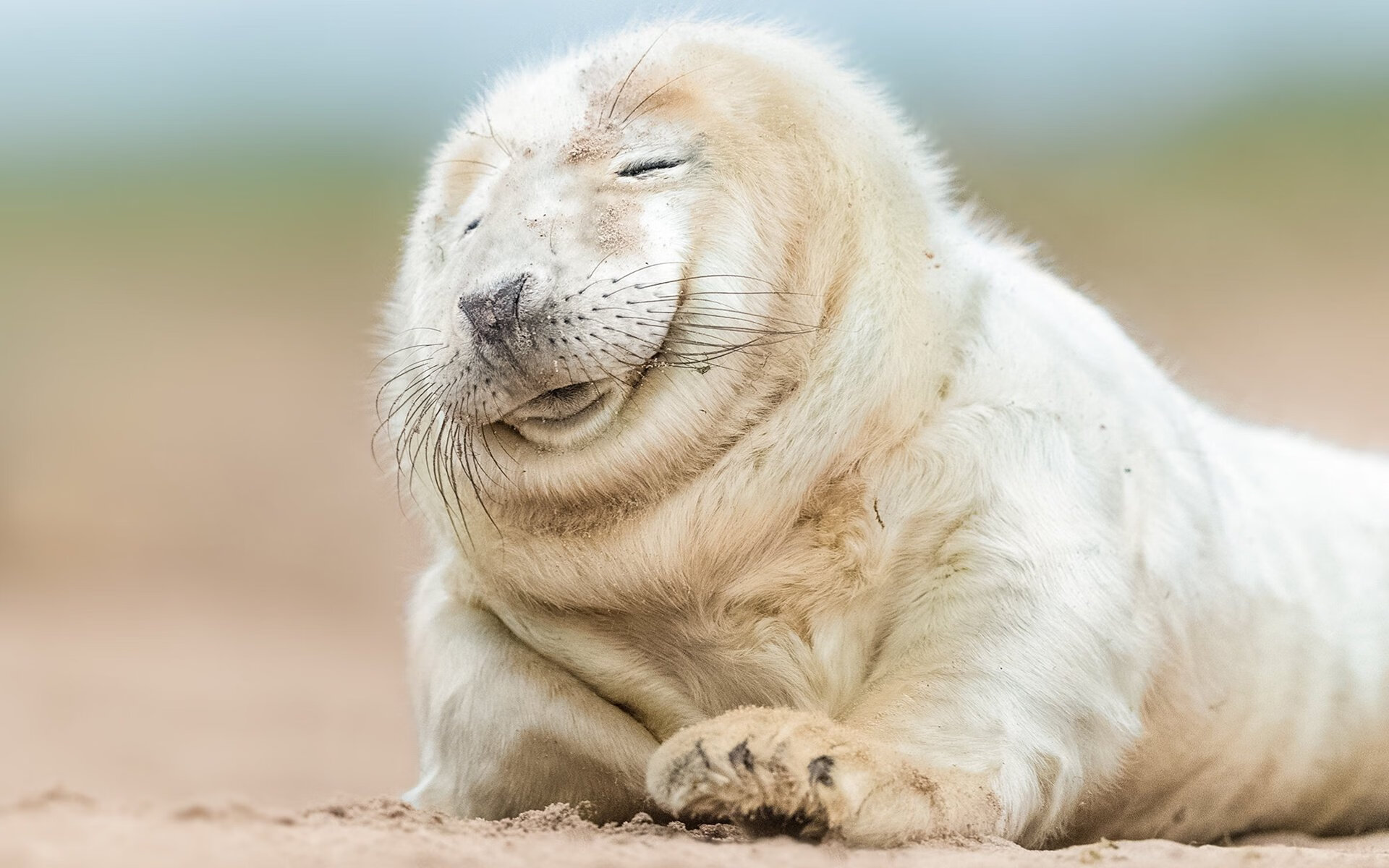 潮水褪去方见真金,阿拉巴导演,加拿大奏响逆转交响乐