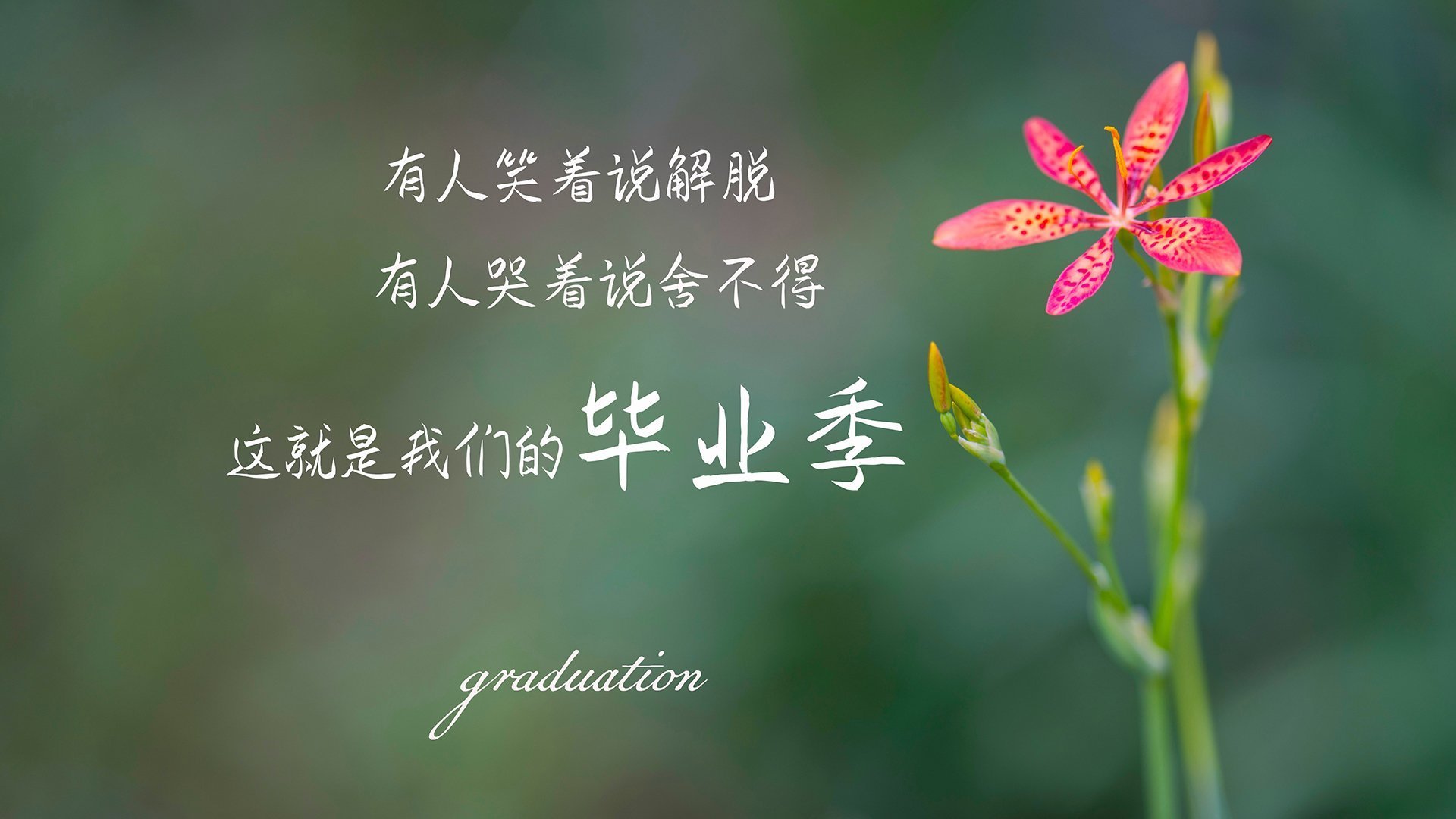 篮球场上的世界杯焦点战，山西队如何击穿广厦队防线