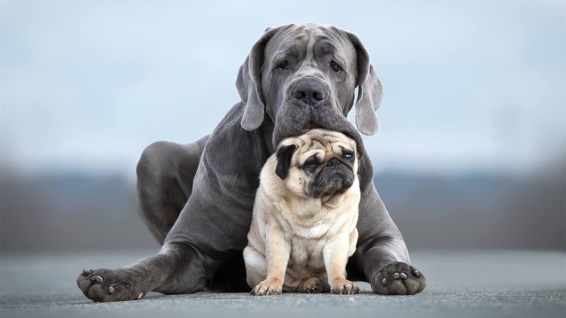 王国沦陷与闪电新生，非洲雄鹰用一分钟击碎橙色王朝的黄昏