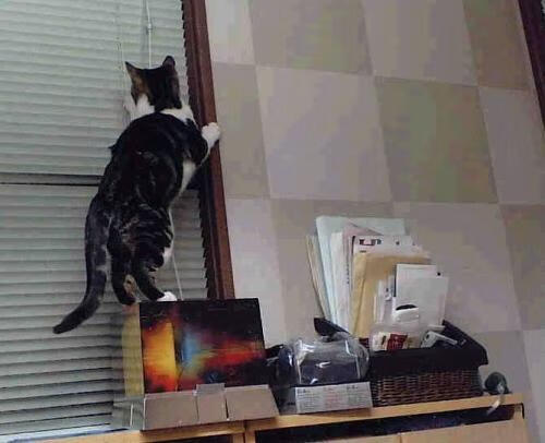 锁死班凯罗却目送胜利溜走，39岁詹姆斯防出赛季代表作，却暴露湖人致命缺陷