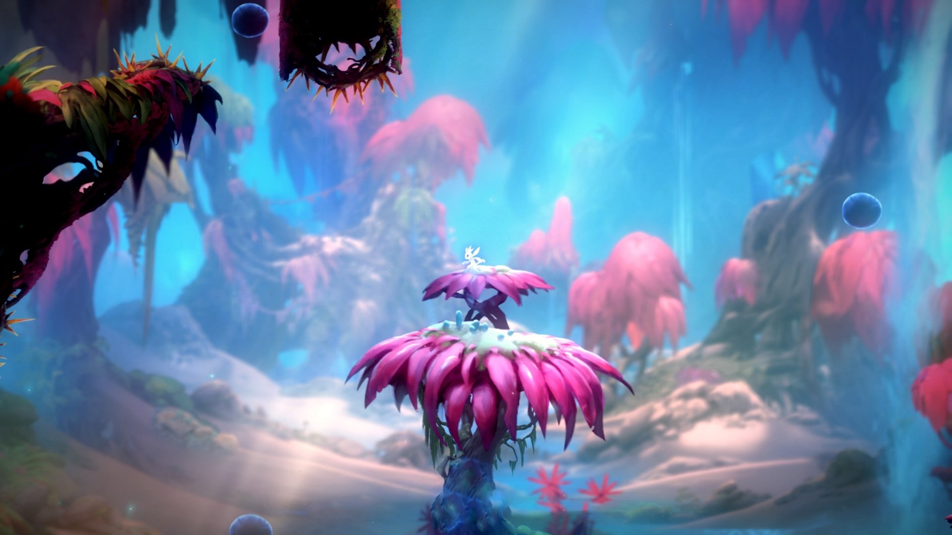 没有欢呼的杀手，霍勒迪为何在寂静中接管了最关键的五秒