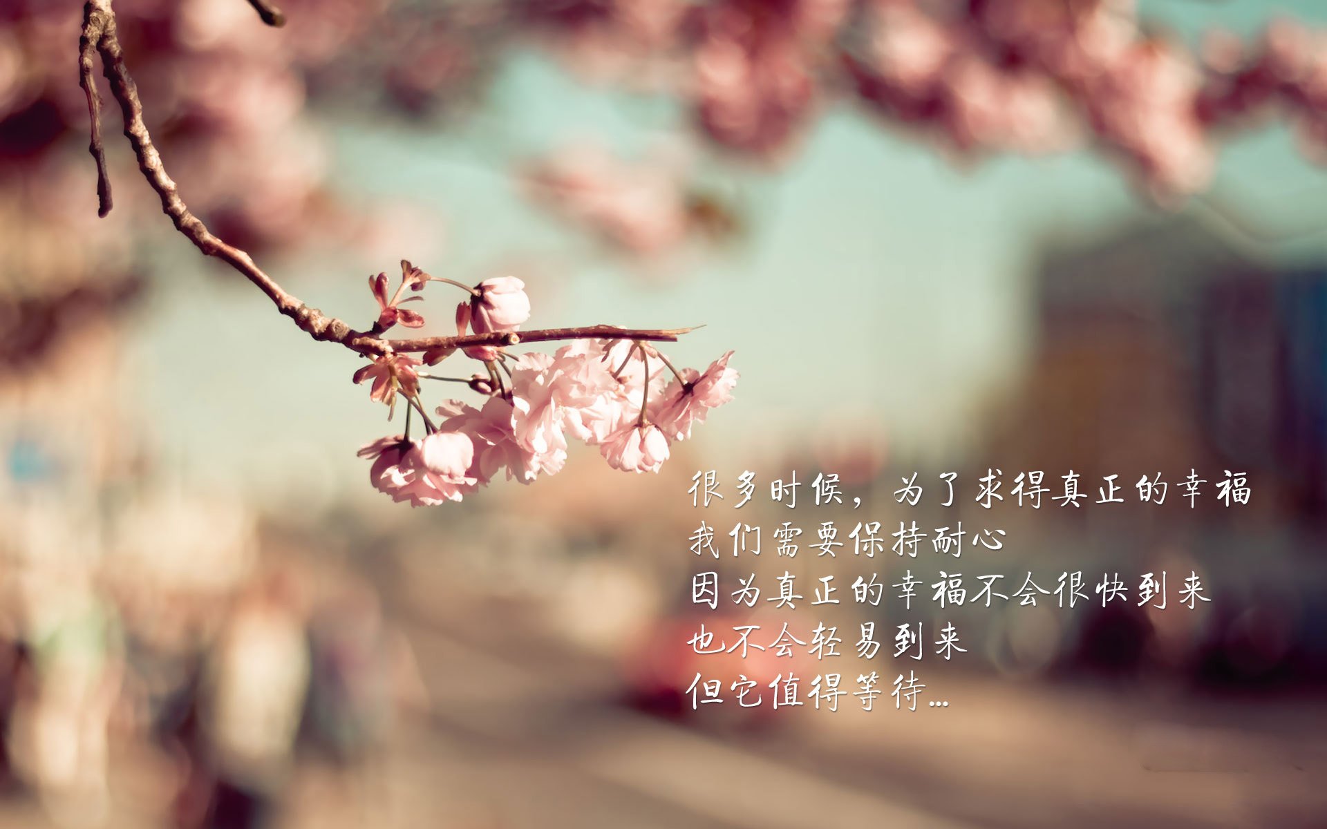 西非雄狮对决黄色潜水艇，一场提前上演的小世界杯—当塞内加尔的野性冲撞比利亚雷亚尔的精密齿轮