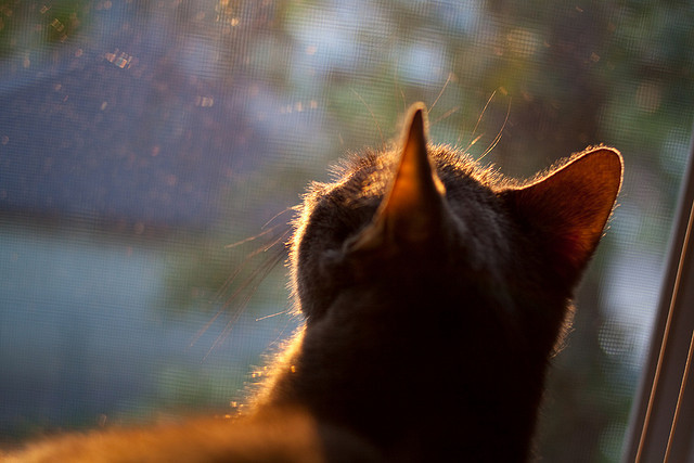 铁壁对阵狂澜，中国团队锁链防守与马丁内利的独舞时刻