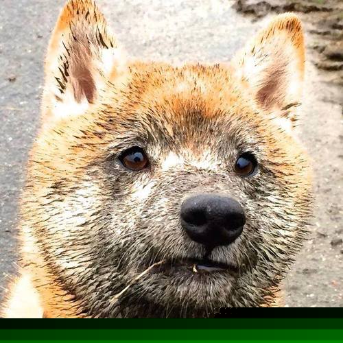 唯一性的双重奏，当76人轻取勇士遇见杜兰特欧冠淘汰赛的统治力