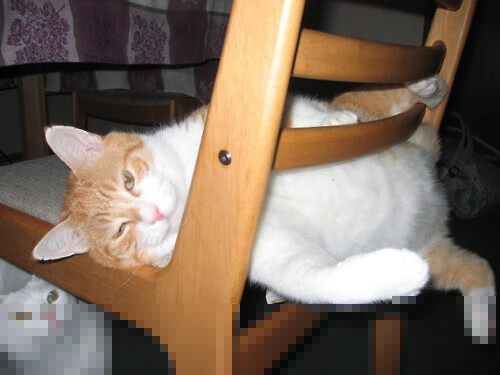 棋盘上的绝杀，当爵士遇见新疆，浓眉如何用一记封盖定义全球篮球之夜