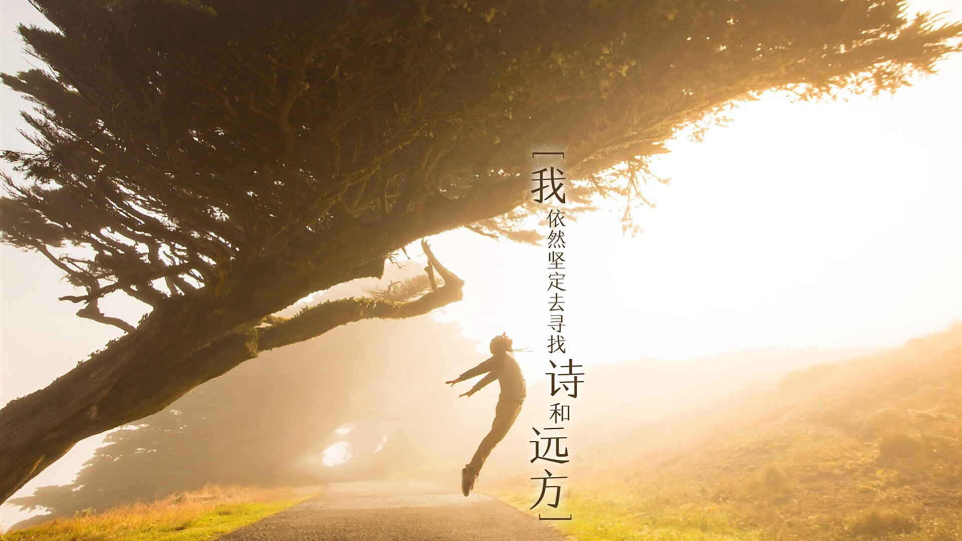 鹰啸伊比利亚,当阿诺德的直觉撕裂潘帕斯,改写C组命运线